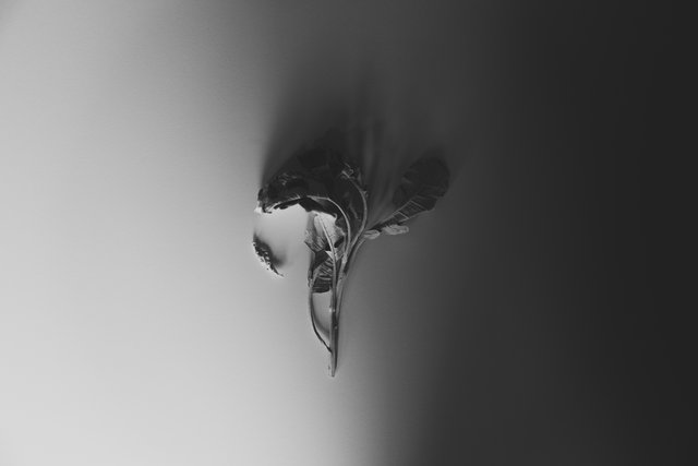 Hosting the Ghost of My Grandfather after His Burial | Salawu Olajide Agbowo Art African Literary Art