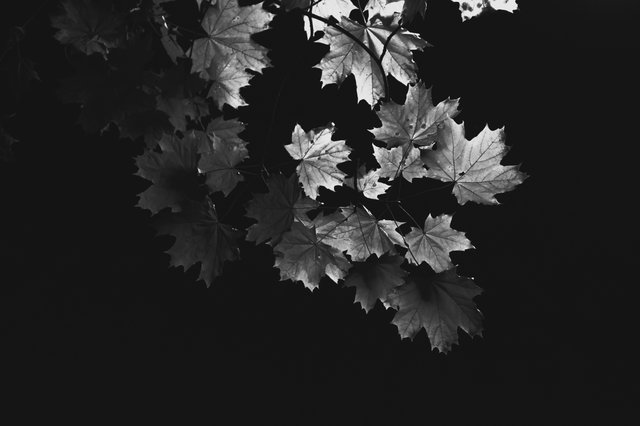 Fade Peter W Nawa Agbowo Art African Literary Art