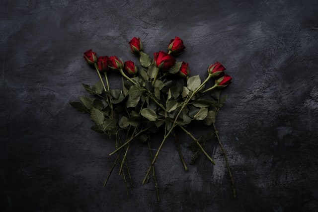 Inter(red) spaces | Diana-Nnaemeka | Agbowo Art | African Literary Art